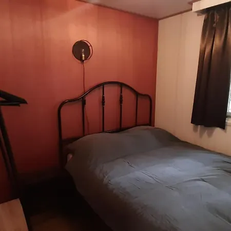 Vijverzicht Veluwe Chalet *