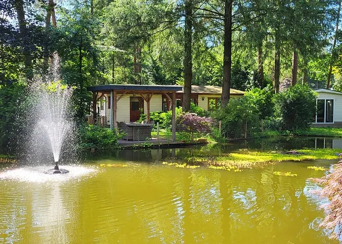 Vijverzicht Veluwe Doornspijk